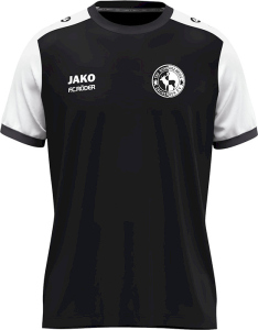 TSV Zscherben Jako Trikot Dynamic