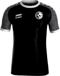 TSV Zscherben Jako Trikot Iconic