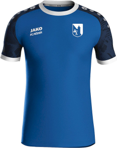 SG Blau-Weiß Bad Kösen Jako Trikot Iconic