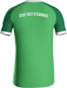 DTSV 1867 Steinbach Jako Trikot Iconic