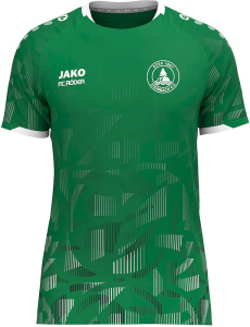 DTSV 1867 Steinbach Jako Trikot Sonic