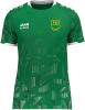 FSV Grün-Gelb Osterfeld Jako Trikot Sonic