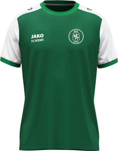 KSV Lossa Jako Trikot Dynamic