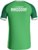 1.FC Romonta Amsdorf Jako Trikot Iconic