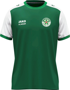 1.FC Romonta Amsdorf Jako Trikot Dynamic