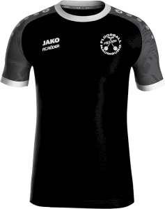 Floorball Naumburg Jako Trikot Iconic