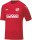 SV Rothenschirmbach Jako Trikot Team