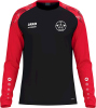 SV Rothenschirmbach KSO Jako Longsleeve Sonic