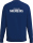 VSC Blau-Weiß Naumburg Erima CMPT Wings Sweatshirt