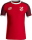 Baumersrodaer SV Jako Trikot Iconic