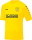 SV Schwarz-Gelb Deuben Jako Trikot Team