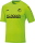 Gleinaer SV Jako Trikot Team