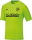 SG ZW Karsdorf Jako Trikot Team