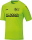 SG Lützen/Meuchen Jako Trikot Team