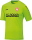 SV RW Weißenfels Jako Trikot Team