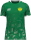 SV Kaiserpfalz Jako Trikot Sonic