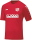 SV Rothenschirmbach Jako Trikot Team