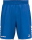 HBV Jena Erima WINGS Shorts